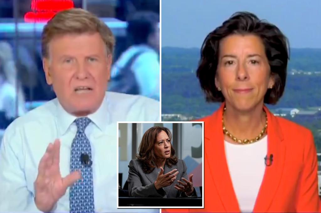 CNBC host Joe Kernen pushes Kamala Harris replacement for claiming 'clear' views, not giving interviews: 'People are frustrated'